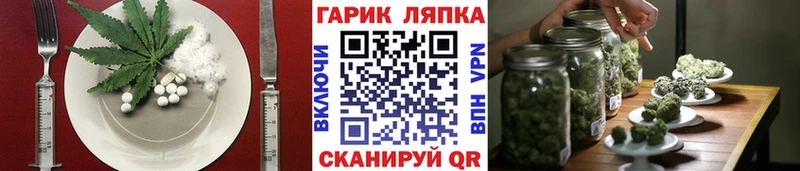 Cannafood марихуана  Купить где  Шахунья 