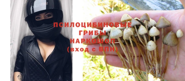 ECSTASY Ладушкин