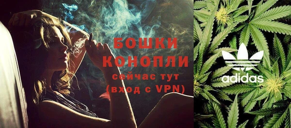 ECSTASY Ладушкин
