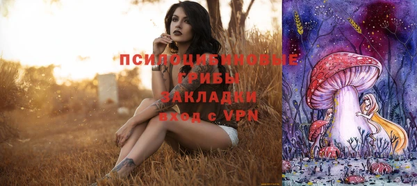 ECSTASY Ладушкин