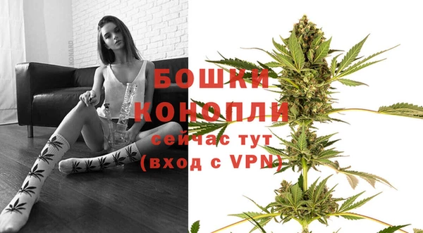 ECSTASY Ладушкин