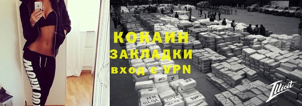 сатива Лагань