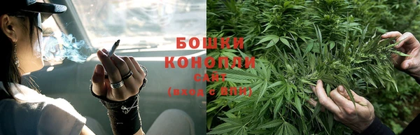 сатива Лагань