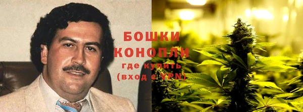 ECSTASY Ладушкин