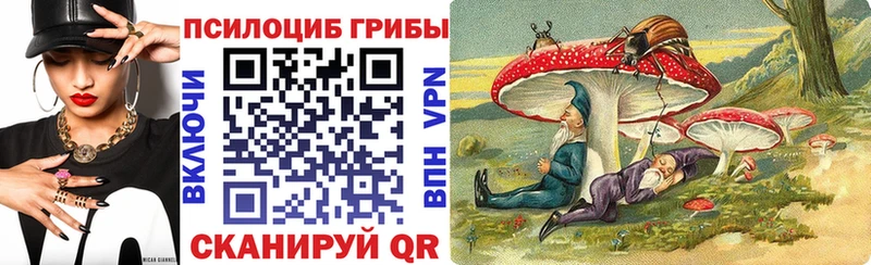 Купить где  Шахунья  Псилоцибиновые грибы прущие грибы 